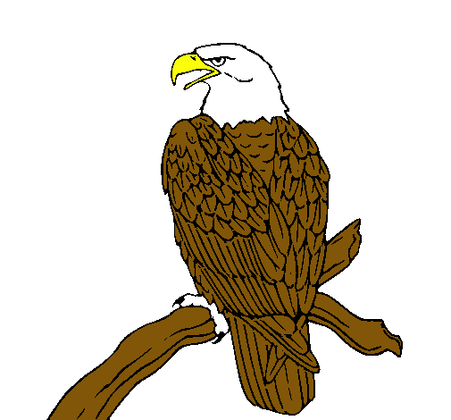 Dibujo Águila en una rama pintado por MatiasIsr
