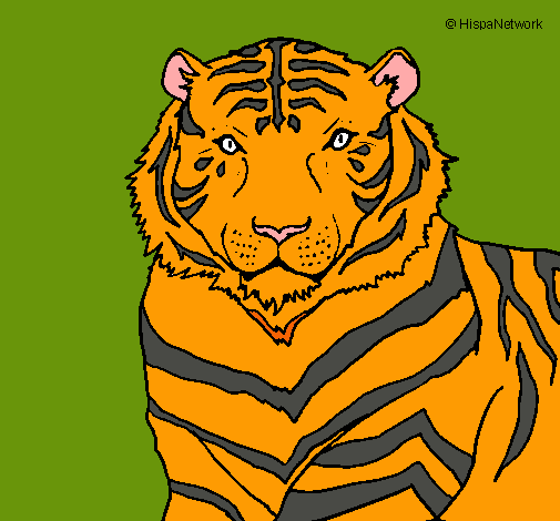 Dibujo Tigre pintado por juan2003