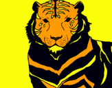 Dibujo Tigre pintado por melosa