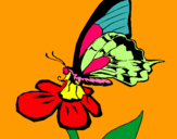 Dibujo Mariposa en una flor pintado por MARTINAGAU