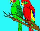 Dibujo Loros pintado por papagallos