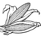 Dibujo Mazorca de maíz pintado por mishell990