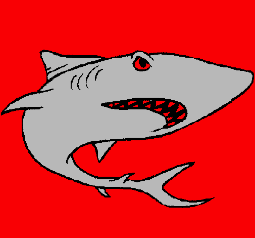 Dibujo Tiburón pintado por matiana