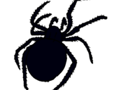 Dibujo Araña venenosa pintado por espiderman