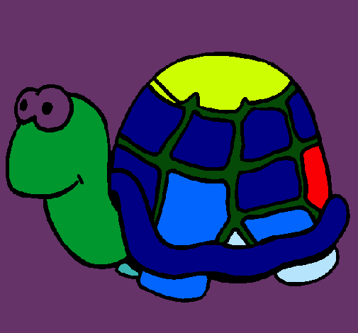 Dibujo Tortuga pintado por jeniandre