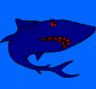 Dibujo Tiburón pintado por catalt