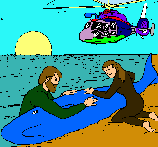 Dibujo Rescate ballena pintado por fizi