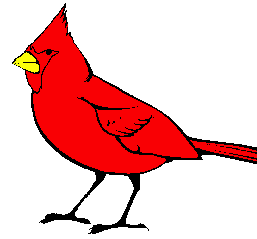 Dibujo Cardinal pintado por brayanquino9