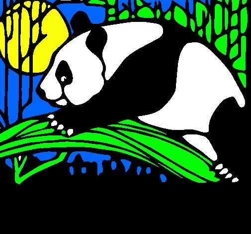 Dibujo Oso panda comiendo pintado por spaida