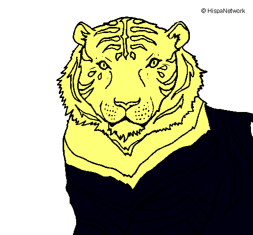 Dibujo Tigre pintado por Sergiosd