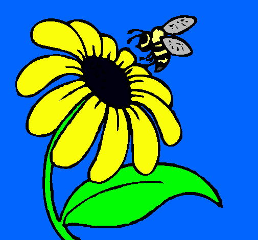Dibujo Margarita con abeja pintado por hernande