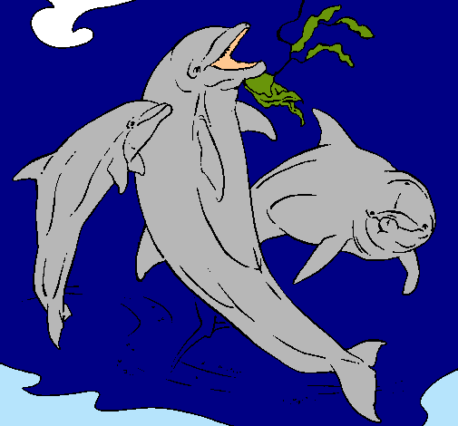 Dibujo Delfines jugando pintado por caamila02
