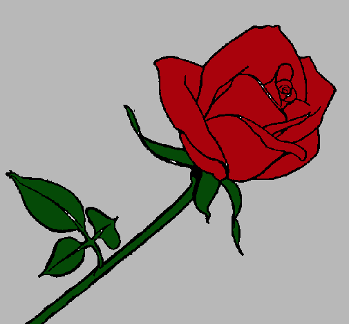 Dibujo Rosa pintado por lesmon