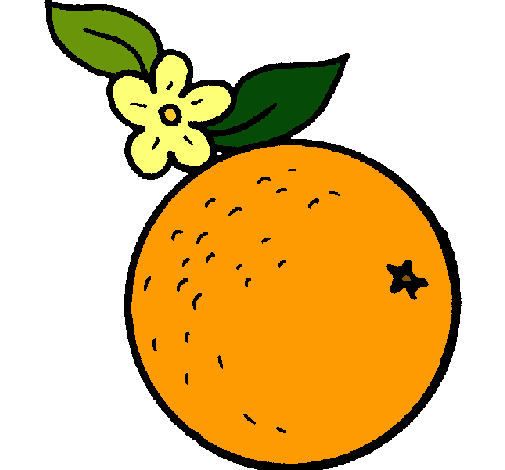 Dibujo de naranja pintado por Karlacvcr en Dibujos.net el día 21 ...