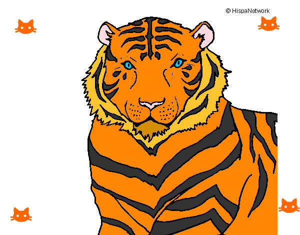 Dibujo Tigre 3 pintado por solonieves