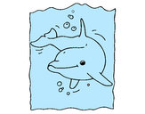 Dibujo Delfín pintado por ironman2