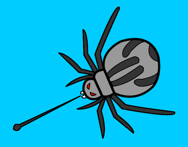 Araña expulsando veneno