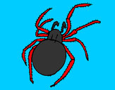 Dibujo Araña venenosa pintado por antitto