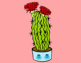 Dibujo Cactus con flores pintado por lamorales