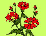 Dibujo Conjunto floral pintado por lamorales
