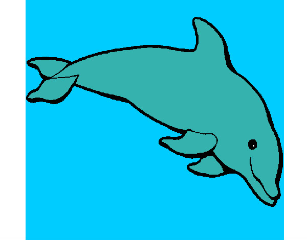 Delfín contento