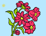 Dibujo Flores pintado por lamorales
