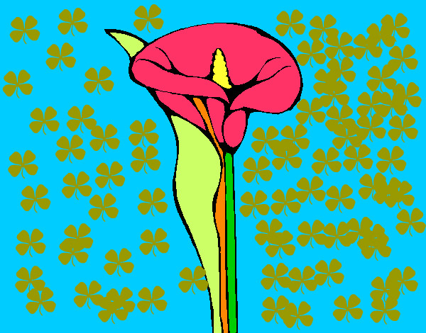 el dibujo de la flor