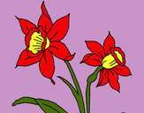 Dibujo Orquídea pintado por lamorales