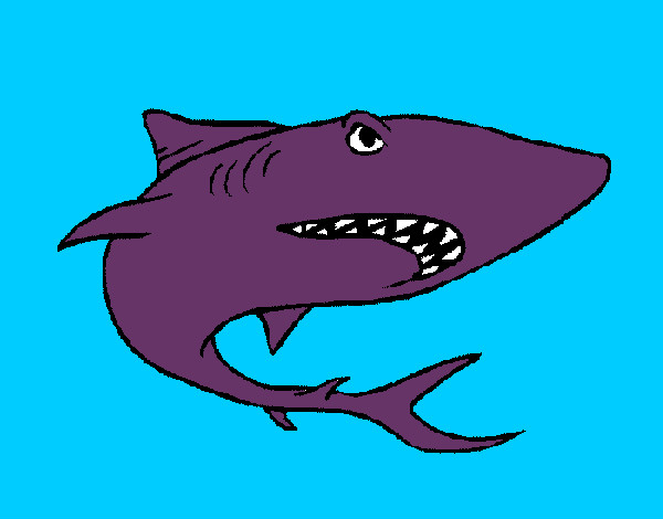 Dibujo Tiburón pintado por antitto
