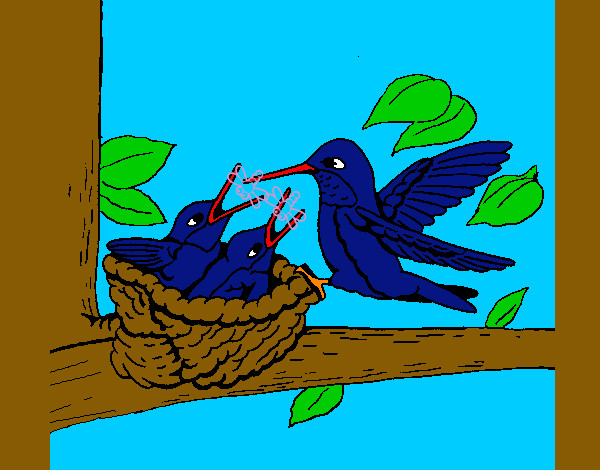 Dibujo Familia colibrí pintado por izco6
