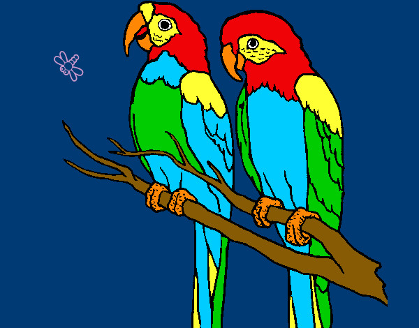  Dibujo de pareja de loros pintado por Izco6 en Dibujos.net el día