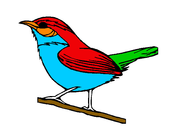 Dibujo Pájaro silvestre pintado por izco6