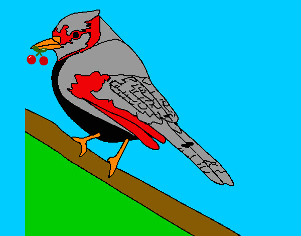 Dibujo Pájaro tropical pintado por izco6