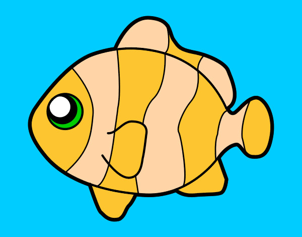 el pez payaso