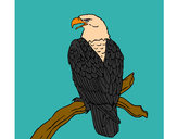 Dibujo Águila en una rama pintado por hpna