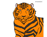 Dibujo Tigre 3 pintado por Nahomi1