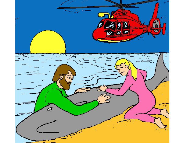 Dibujo Rescate ballena pintado por marcruiz0