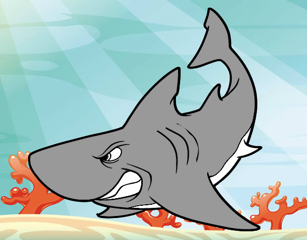 Dibujo Tiburón enfadado pintado por DIVINAS123