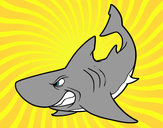 Dibujo Tiburón enfadado pintado por FlopyRojas