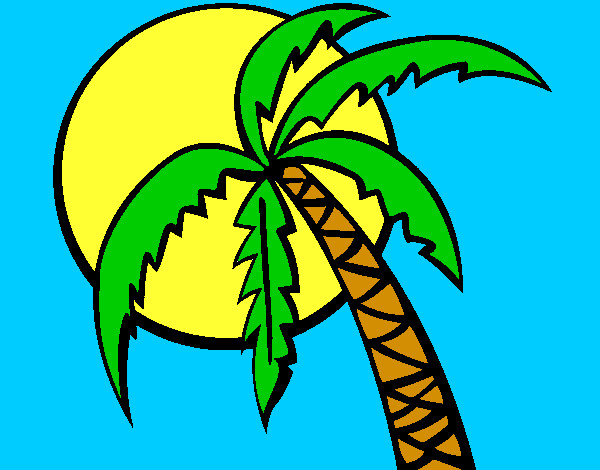 la palmera de verano