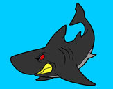 Dibujo Tiburón enfadado pintado por clarisman