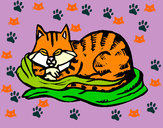 Dibujo Gato en su cama pintado por kiaraporta