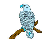 Dibujo Águila en una rama pintado por GOKU-CROSS