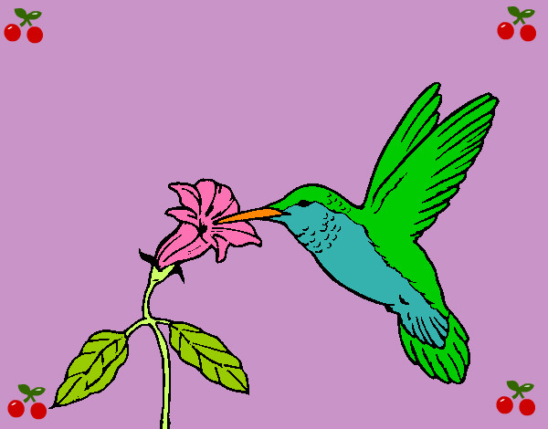 Dibujo Colibrí y una flor pintado por kiaraporta