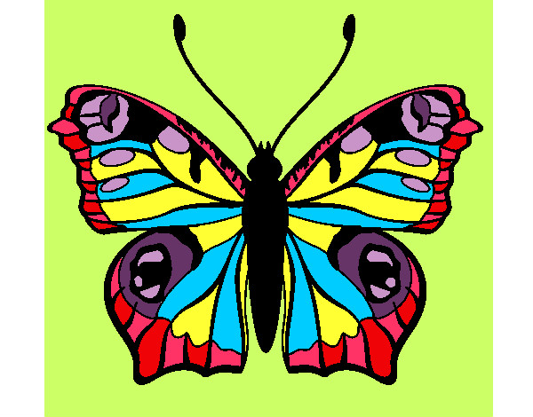 Dibujo Mariposa 20 pintado por hpna