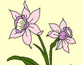 Dibujo Orquídea pintado por michinita