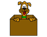 Dibujo Perro dentro de caja pintado por asbi