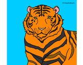 Dibujo Tigre 3 pintado por quiliki