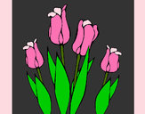 Dibujo Tulipanes pintado por michinita