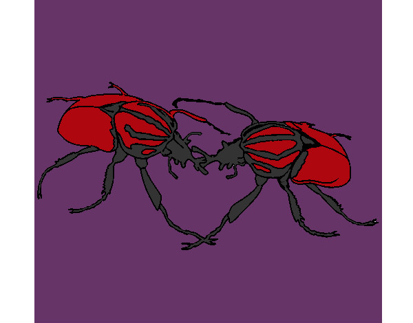 Dibujo Escarabajos pintado por oliveros